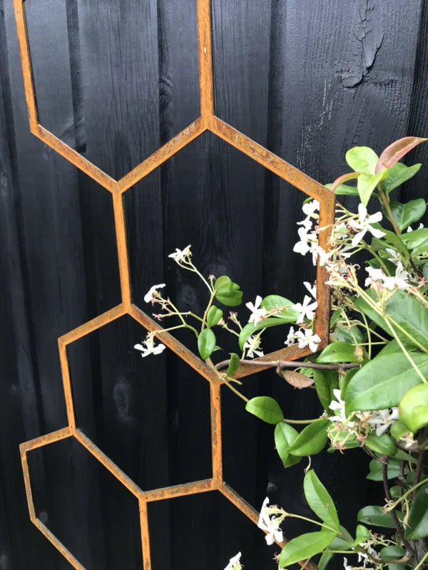 Hexagon